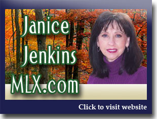 Link to website for Janice Jenkins realtor