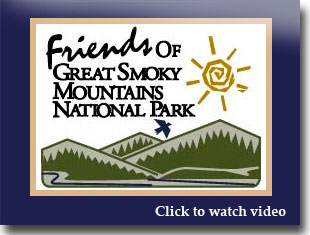 Link to video for friends of the smokies