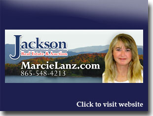 Link to website for Marcie Lanz realtor