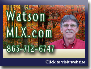 Link to website for Sammy Watson realtor